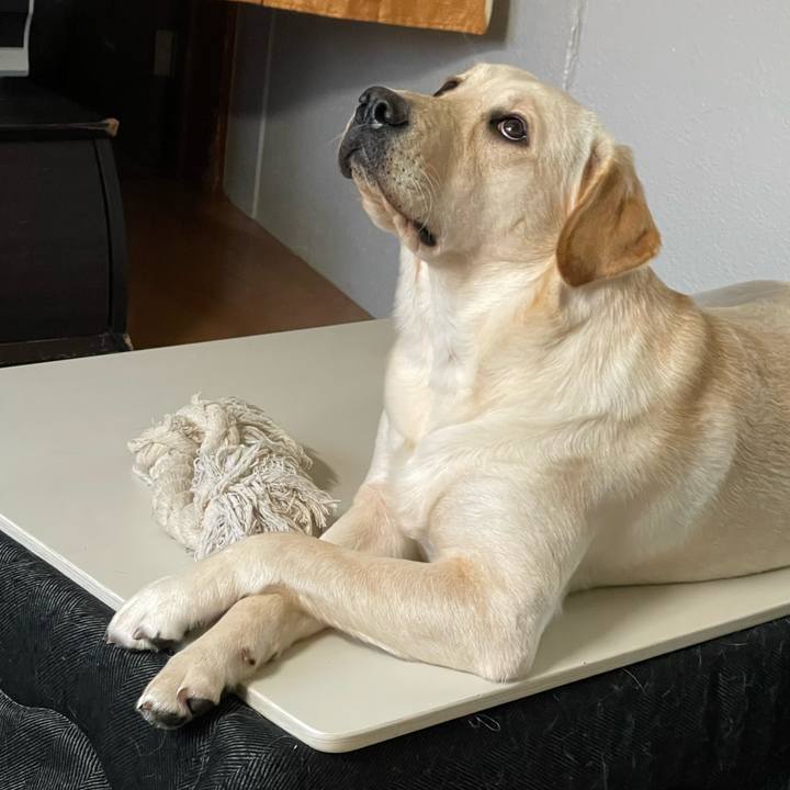 99f8eeaf 28f5 452a b410 a87a275e5098 1641777209597