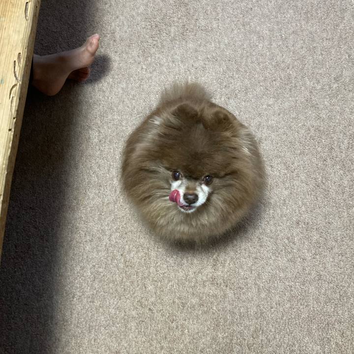 99f8fbc3 2d18 43a8 82a1 8533db64e476 1732394770822