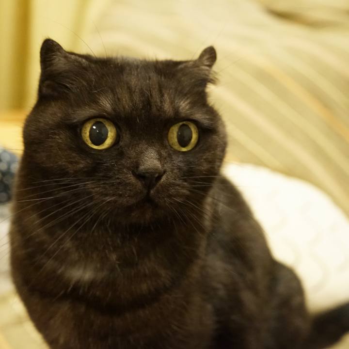 99f93719 6b17 40c6 94fb 5434a1308965 1577289849530