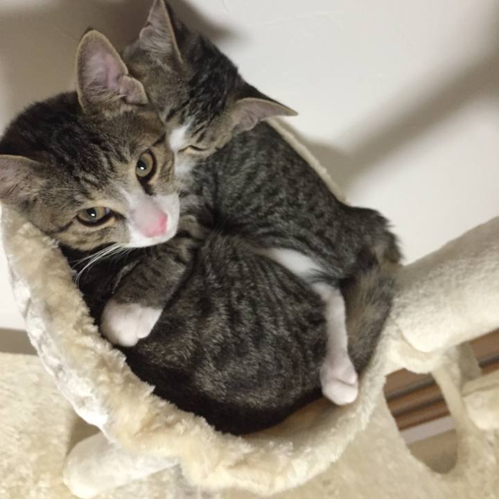 99f95d58 c58c 4281 98f4 e8084da1d80d 1656830294161