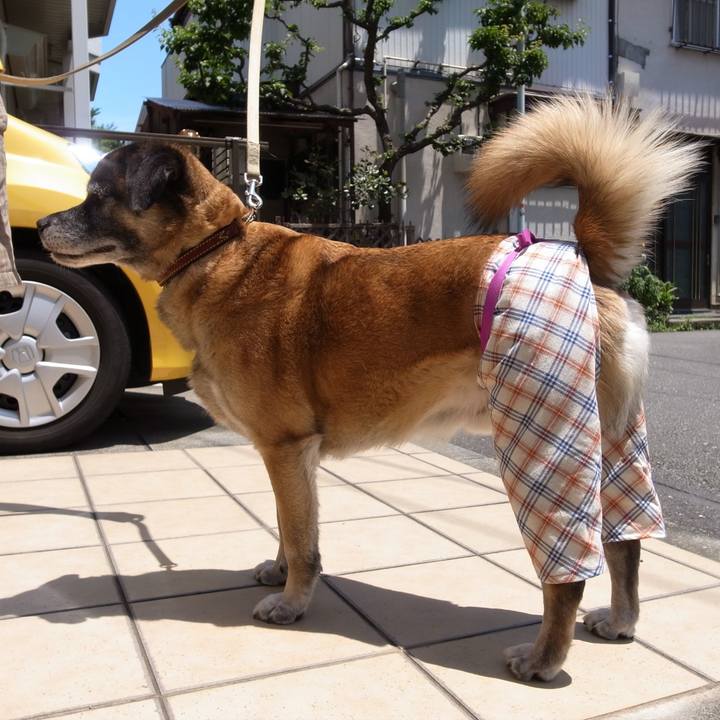 99f970be 5f5a 4196 ac8d be583663bbb9 1681779813787