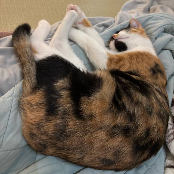 99f970d0 273c 4c43 9333 7b5e070fc1ae 1763214009435