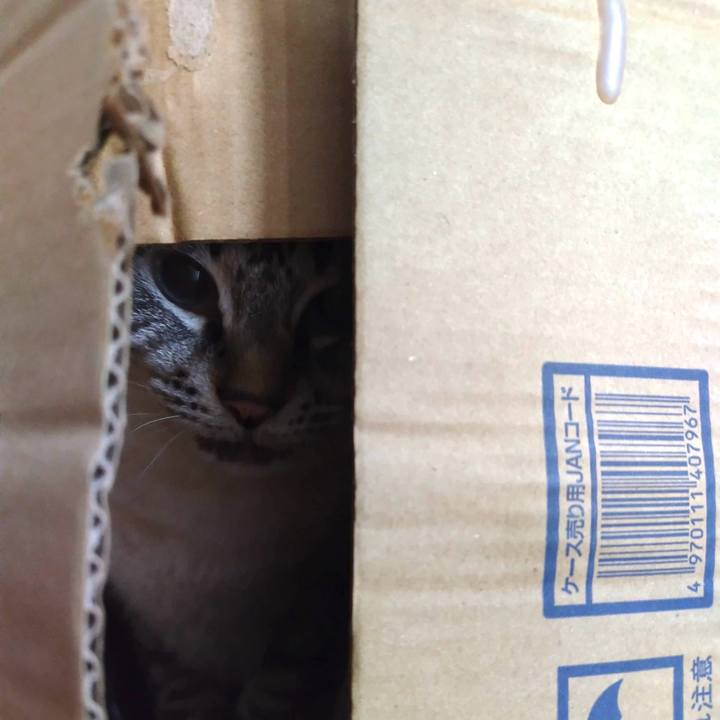 99f976c2 0426 418d bc59 d94a3112dfe5 1766966692308