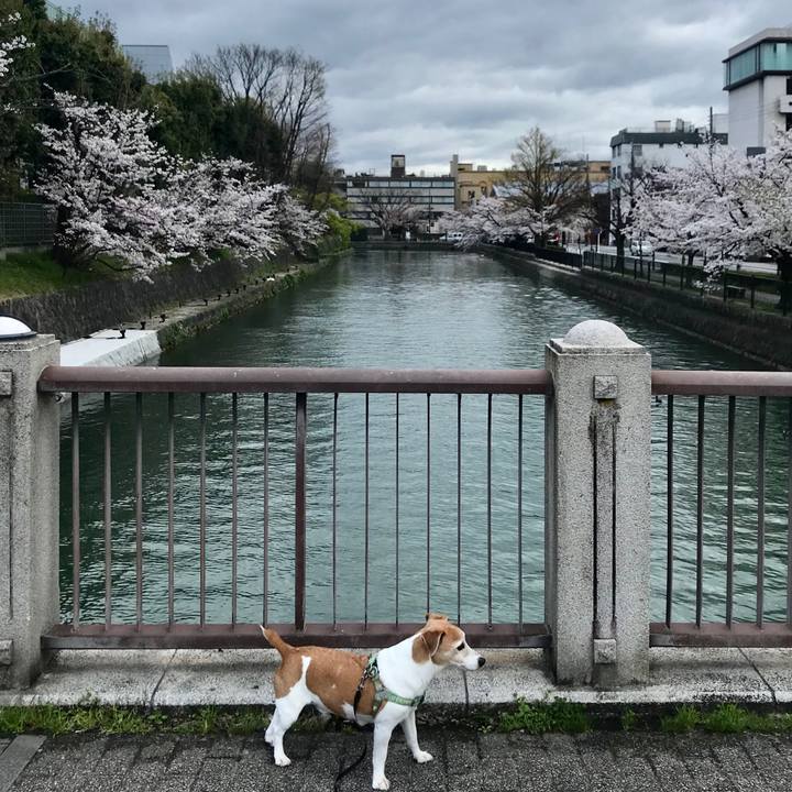 99f9ad1c 5662 4cc4 9666 496d3be14ca8 1585646592127