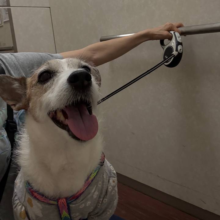 99f9cc4e 1771 4e27 90e5 3025aa2b8d14 1747956432451