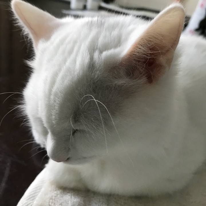 99f9d48f 517a 4de4 9bcf 3c7f748971c2 1510273225816