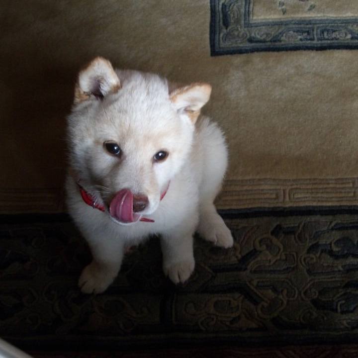 99f9ea02 1728 4f8c 9ced 20ad92559b52 1666107105750