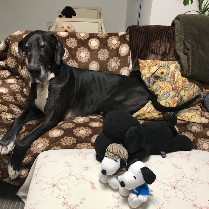 99f9ec57 cee0 4c35 a860 ceb62ba42def 1514156412570