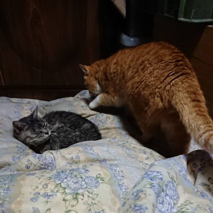 99f9f6f8 9391 4861 a7ec e124c2cf2f37 1580300754507