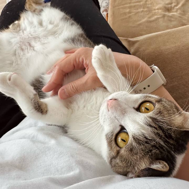 99fa2f70 728b 446b a3f8 9e379ae0d0ca 1776731725952