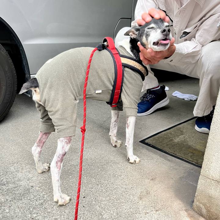 99fa3d14 1f98 49d5 bc66 4ace54a1cc9d 1655763287081