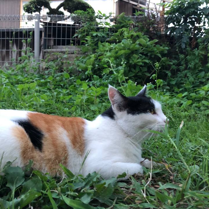 99fa4417 4513 4377 8dd4 a64860ac2b13 1598350564667