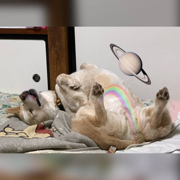 99fa5533 ce54 4fea 9bd0 eb063af805b5 1587741233795