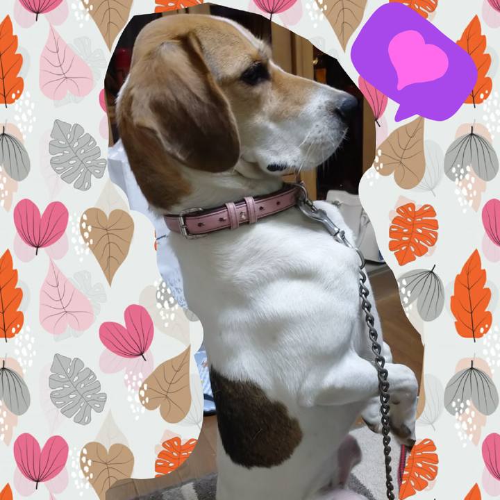 99fa82ea 1d4f 497a 8960 68324a59ceb1 1601189429586