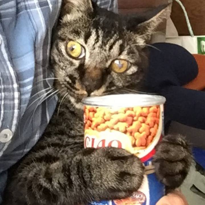 99fa989a bc6c 4da0 a1c5 3dcdda3ecf50 1567858038726