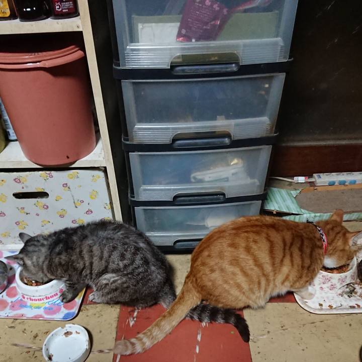 99fa9cc5 b7c7 4e34 b457 89f16e5d5a57 1569872777739