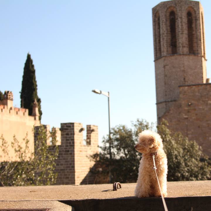 99faade0 8b09 4695 8d98 550848bc37ee 1515508149005