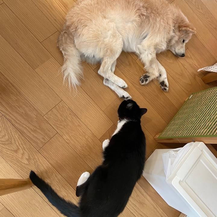 99fab548 771e 4bfd be4b 07fc7e6208b4 1651890810971