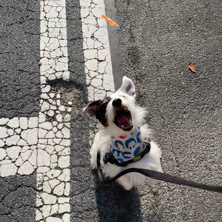 99fabc76 8410 4470 b970 12377a6c14ec 1757458416462