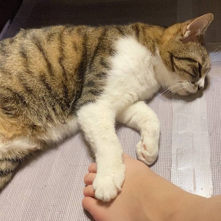 99faca47 df9d 4f2b 9621 d08844215c6b 1621328821077