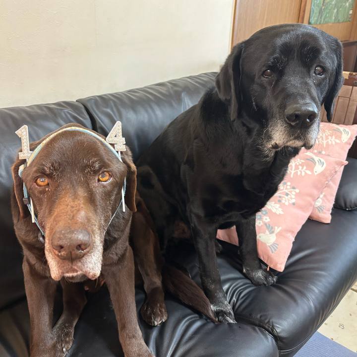 99fad11a 4a5c 4a98 bbc9 356c13a8c459 1773958761723