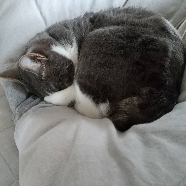 99fade3e 1716 4e7c 8132 bfb3c5402a69 1648957835237