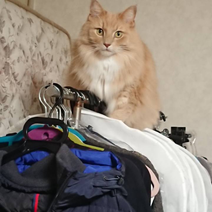 99faf251 df8a 4806 a812 5918aa641bfa 1539918433978