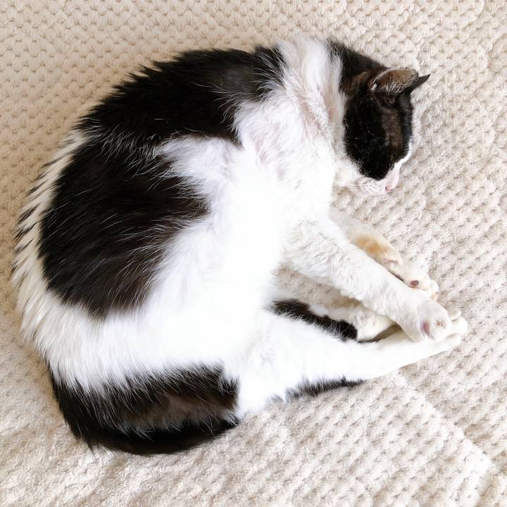 99fb1c4f 3cbf 46f2 8c2b d4c097d8d68c 1619414267613