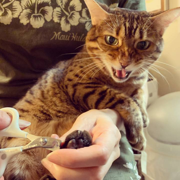 99fb4be9 dc86 47f2 a371 7f93eb51c347 1627170472030