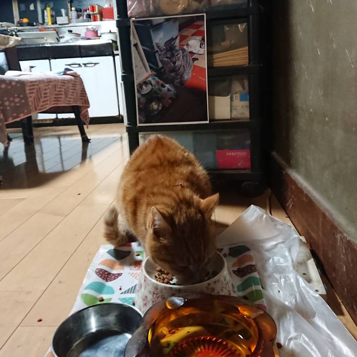 99fb52da 6e64 4280 a317 9ded20bef33f 1602965124849