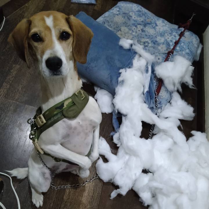 99fb5e9d 3897 46c9 a616 fe4719960304 1670836848111