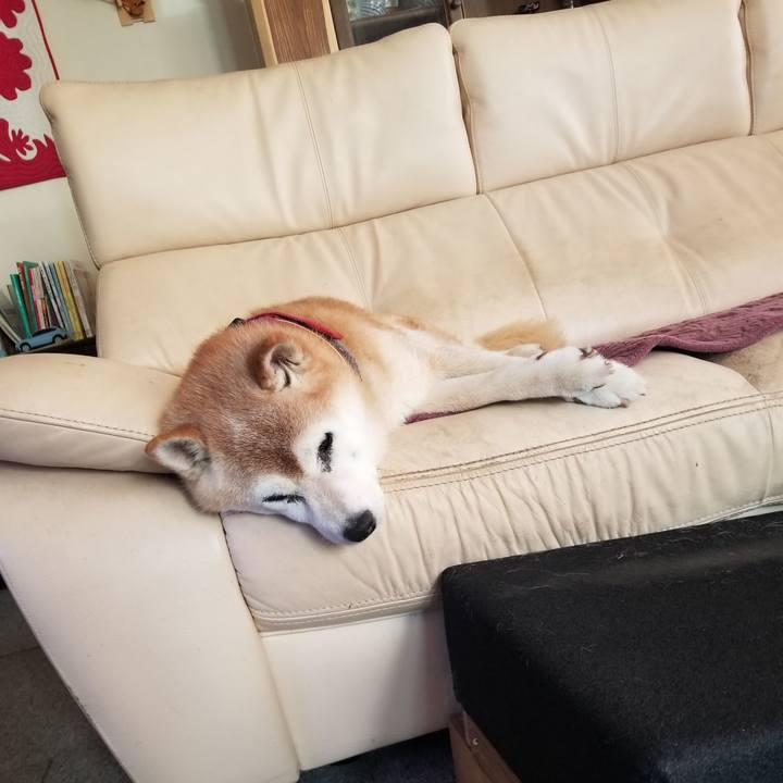 99fb7358 798d 4671 bef7 51404f2b864c 1756611815245