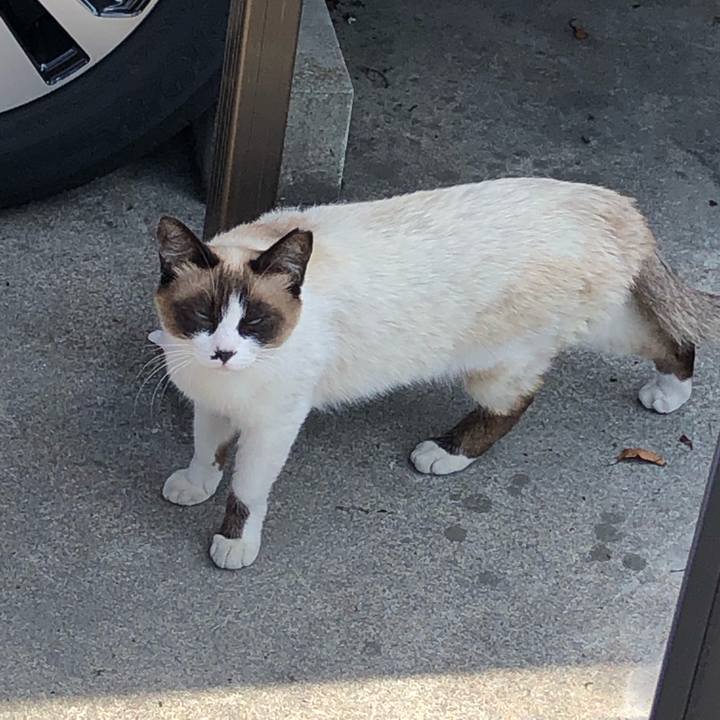 99fb7782 502f 430e b7b3 84a33a8e4c16 1560603212888