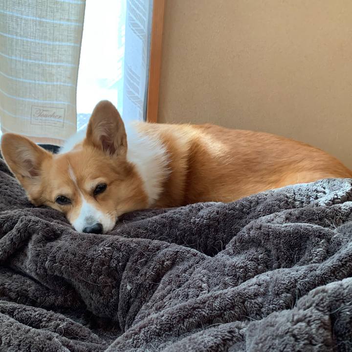 99fbdc5a 9381 4397 b4aa aedbfe3c9c91 1643247750214