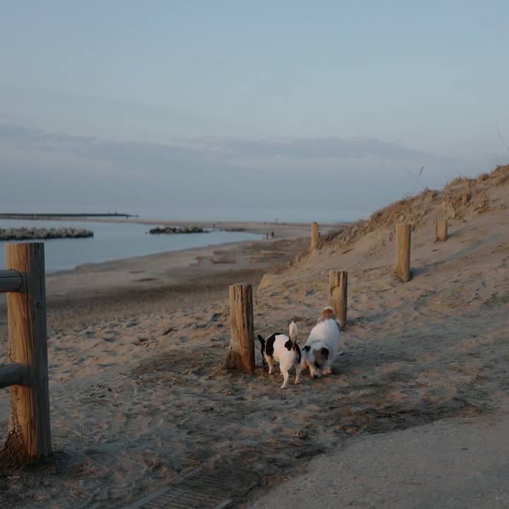 99fc1abe 67ce 4cab a350 1de4e7659118 1520223606076