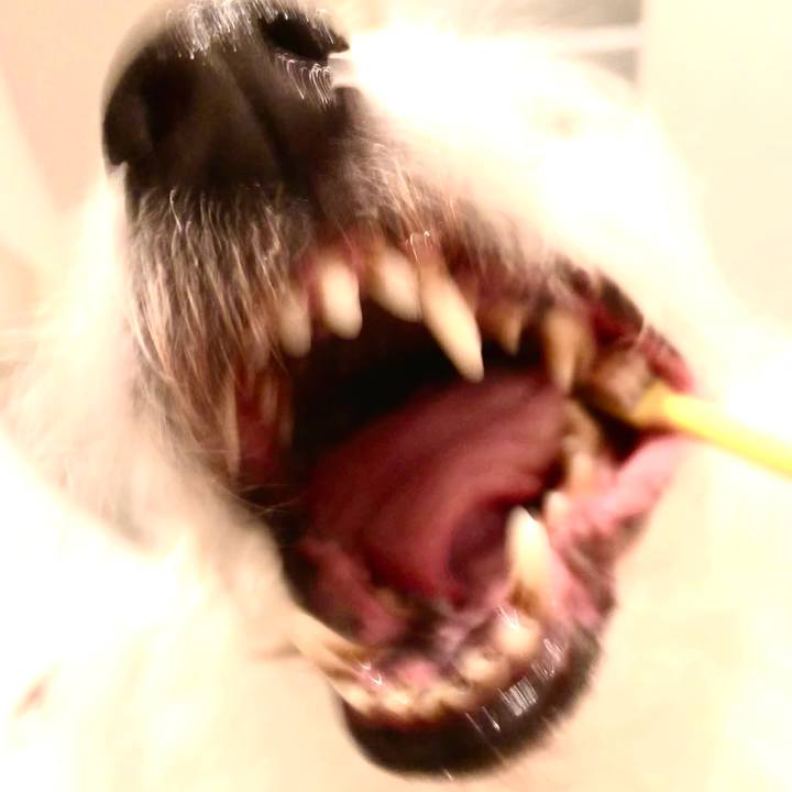 99fc638c 399a 4bd0 aa0f bd78461a068d 1713531809900