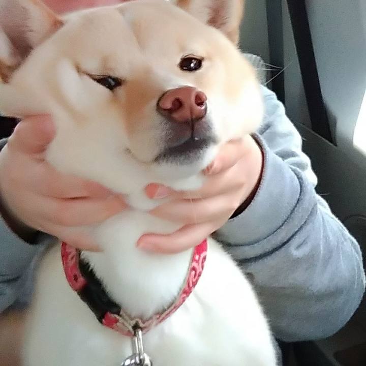 99fcc591 53ca 4d59 a143 9afc530cedb0 1521892402944