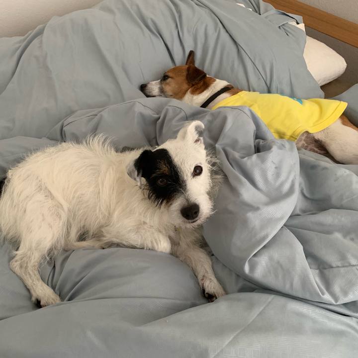 99fd00a8 6128 4583 a393 c37ad61bf70e 1562196295736