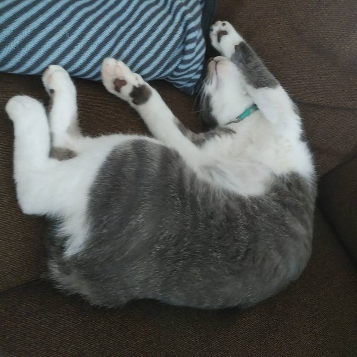 99fd5a4e 68b0 4280 9901 89ec86616a08 1591686238481