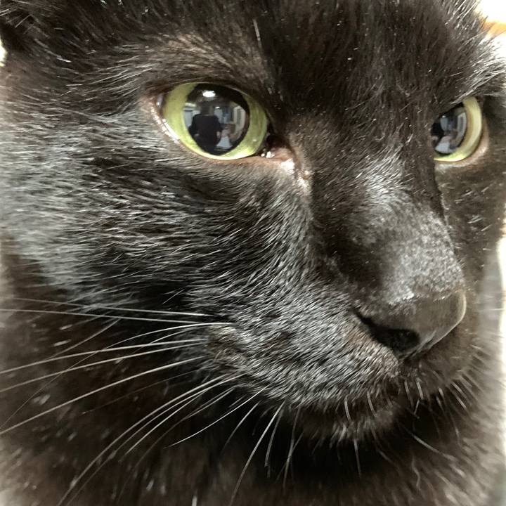 99fd5b1e 5d89 4ac9 9ec8 7600c8d0407f 1547859110927