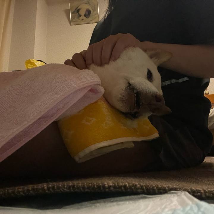 99fd6a32 b6a3 499c 8c60 565d63ab1cd5 1661524784551