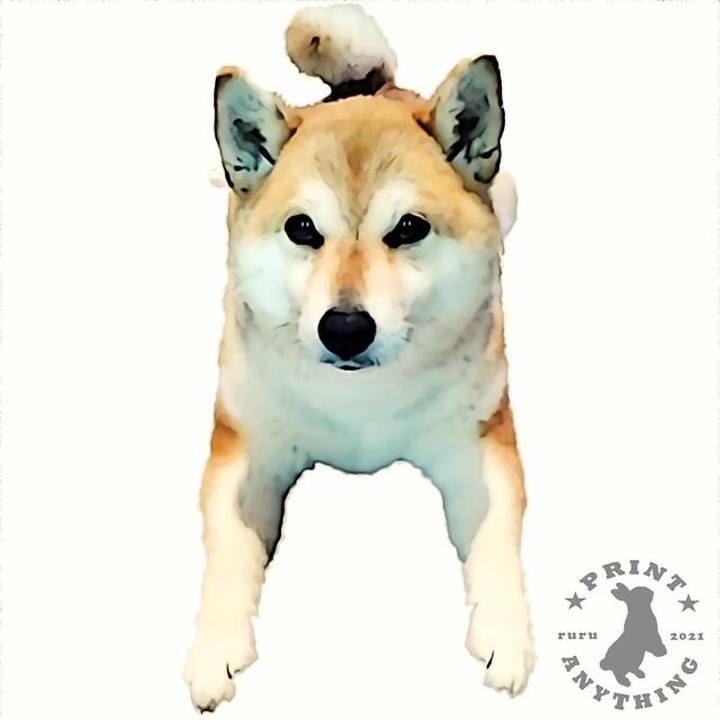 99fd8976 0c7d 4524 837c a983117da333 1630995188237