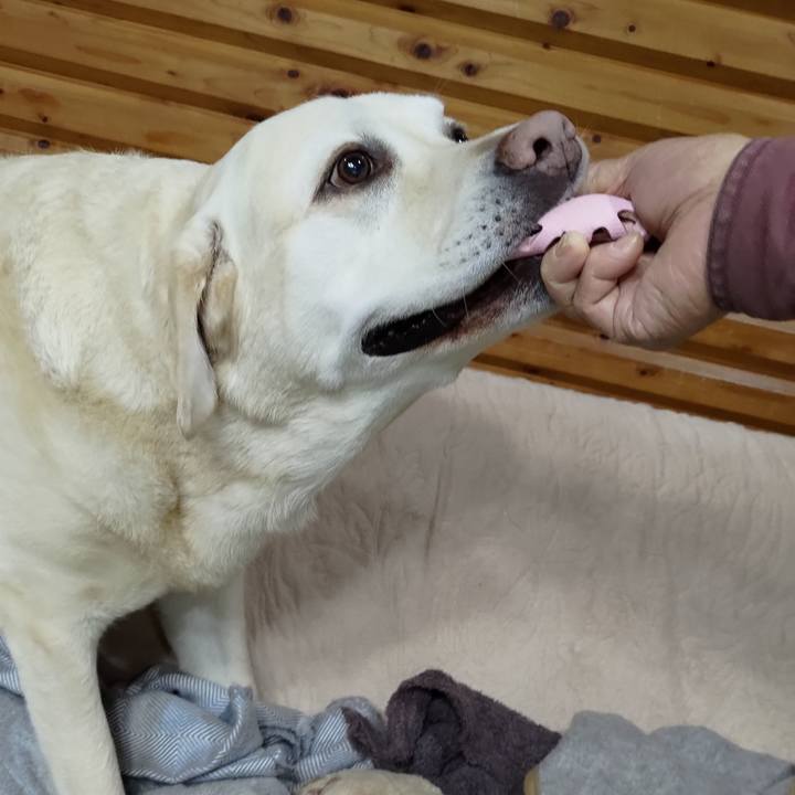 99fda0eb 05bc 4a47 9b9f a1503002ecec 1711544800480