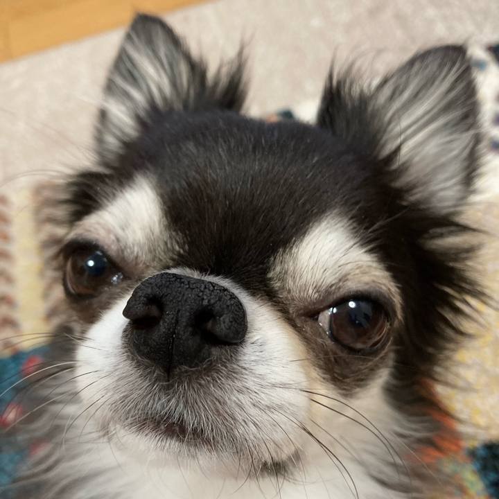 99fda110 4935 4cc2 846d d89f4cdb8baf 1704278040782