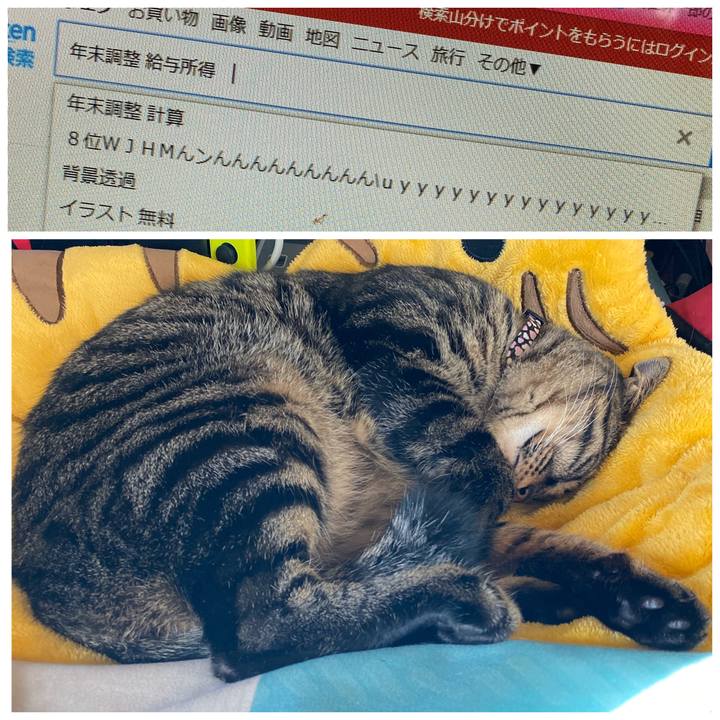 99fdcd53 f10f 4dcb b24d 2ab7eeadd807 1573003640055