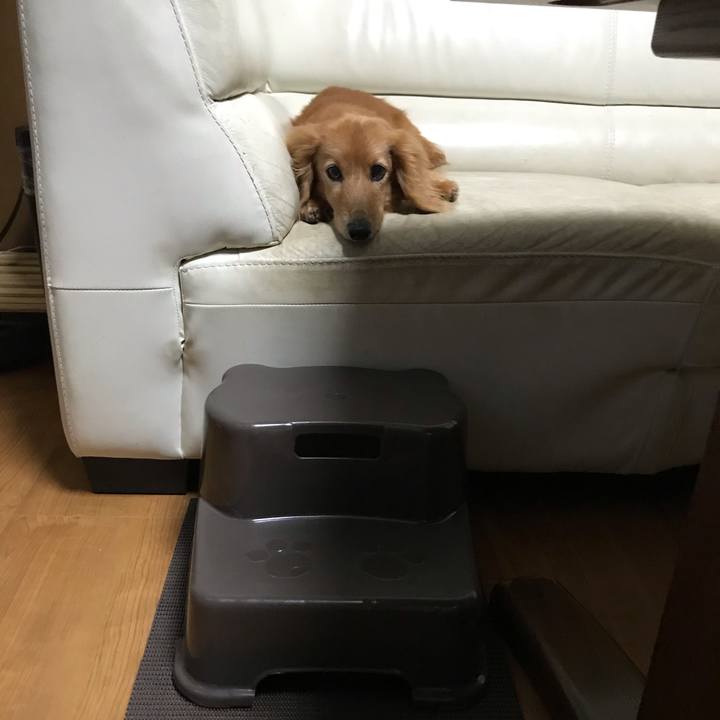 99fdde29 8963 4b0c 8626 49558b03ed8d 1593600331364