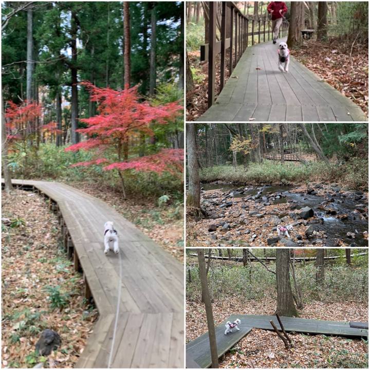 99fe2023 2f91 4a35 870d 4a7c0f1f093f 1574594240479