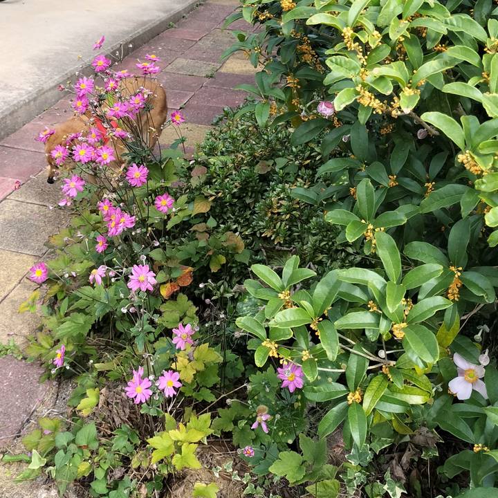 99fe2999 61a5 444e a5d4 d902afcf7bd0 1728216277518