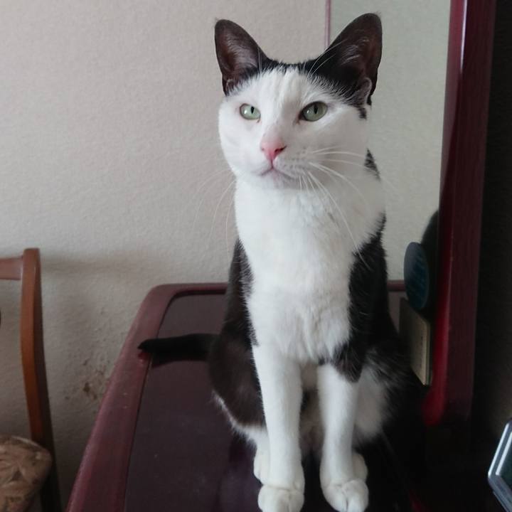 99fe3b90 e65e 4b06 9192 bb78c155a6ce 1519469820402