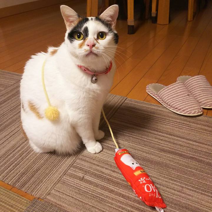 99fe6bdc b6dd 4573 8d01 4e5c5a38fea5 1545652207517